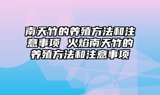 南天竹的养殖方法和注意事项 火焰南天竹的养殖方法和注意事项