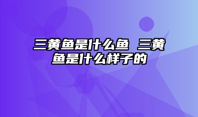 三黄鱼是什么鱼 三黄鱼是什么样子的