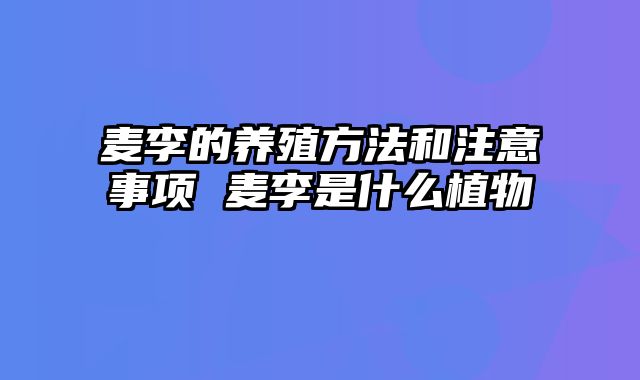 麦李的养殖方法和注意事项 麦李是什么植物