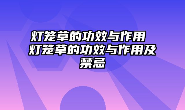 灯笼草的功效与作用 灯笼草的功效与作用及禁忌