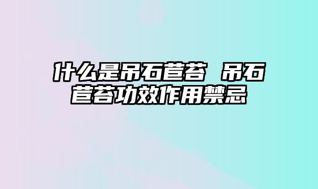 什么是吊石苣苔 吊石苣苔功效作用禁忌