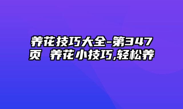 养花技巧大全-第347页 养花小技巧,轻松养