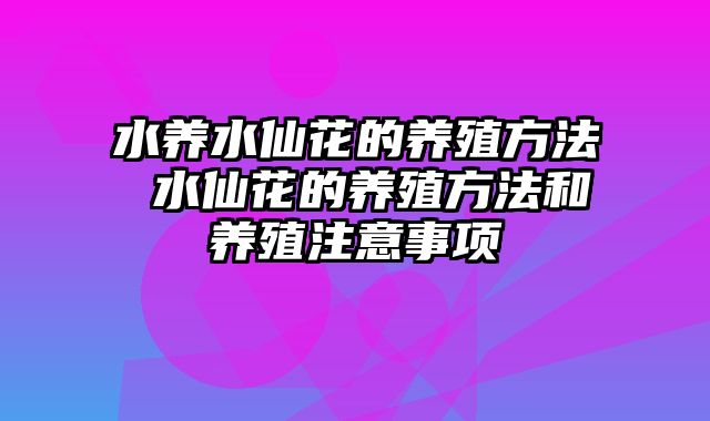 水养水仙花的养殖方法 水仙花的养殖方法和养殖注意事项