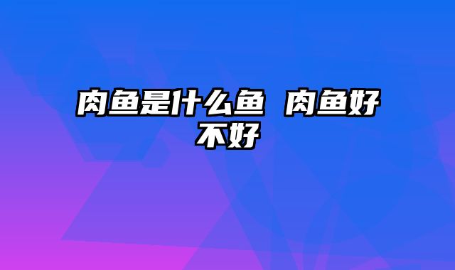 肉鱼是什么鱼 肉鱼好不好