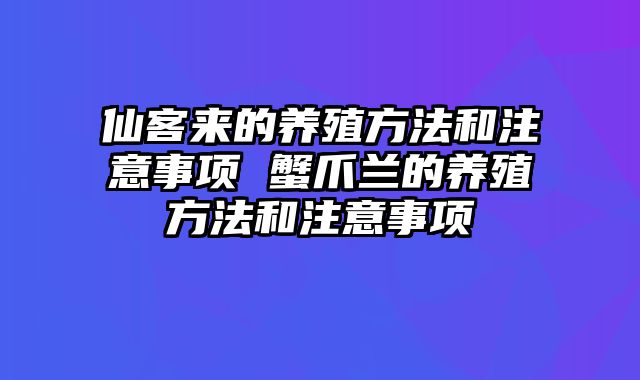 仙客来的养殖方法和注意事项 蟹爪兰的养殖方法和注意事项