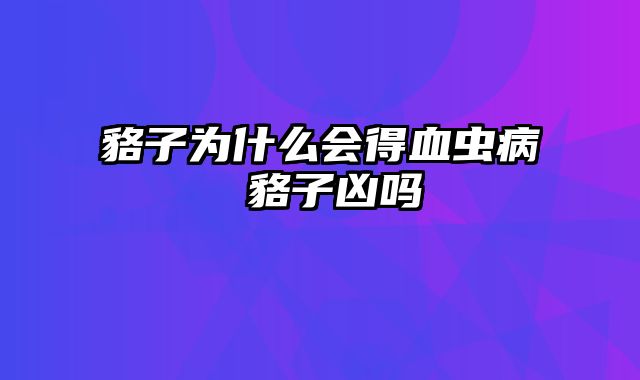 貉子为什么会得血虫病 貉子凶吗