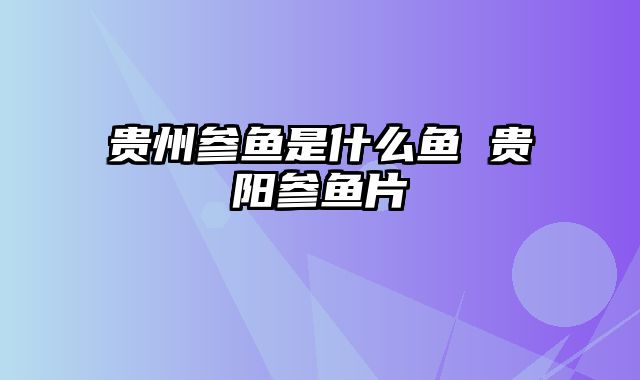 贵州参鱼是什么鱼 贵阳参鱼片