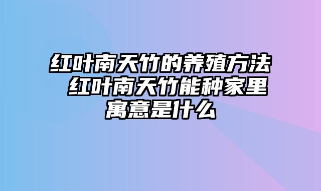 红叶南天竹的养殖方法 红叶南天竹能种家里寓意是什么