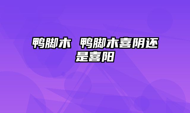 鸭脚木 鸭脚木喜阴还是喜阳