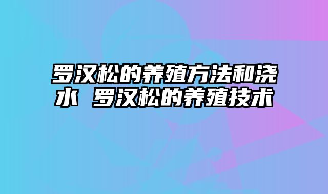 罗汉松的养殖方法和浇水 罗汉松的养殖技术