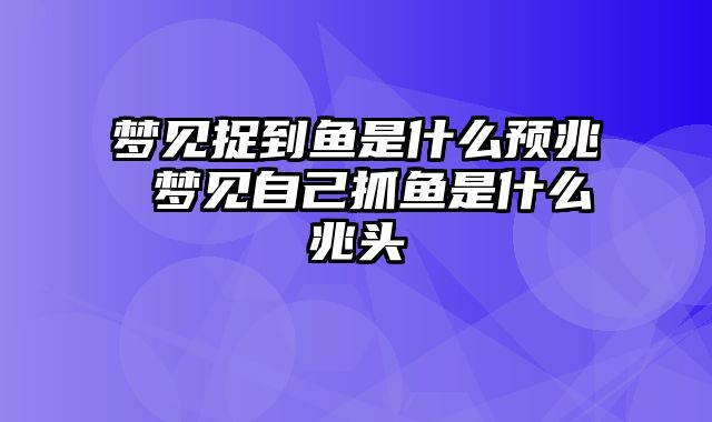 梦见捉到鱼是什么预兆 梦见自己抓鱼是什么兆头