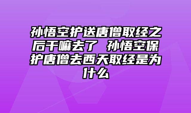 孙悟空护送唐僧取经之后干嘛去了 孙悟空保护唐僧去西天取经是为什么