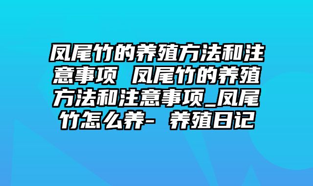 凤尾竹的养殖方法和注意事项 凤尾竹的养殖方法和注意事项_凤尾竹怎么养- 养殖日记