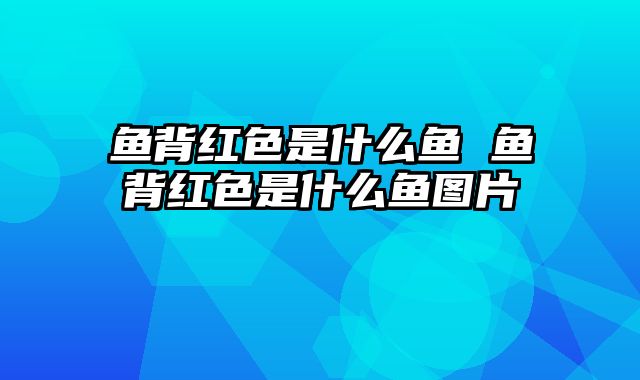 鱼背红色是什么鱼 鱼背红色是什么鱼图片