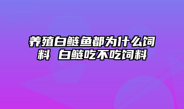 养殖白鲢鱼都为什么饲料 白鲢吃不吃饲料