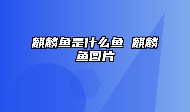 麒麟鱼是什么鱼 麒麟鱼图片