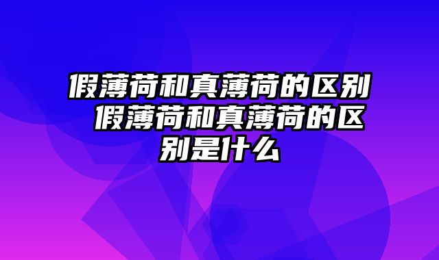 假薄荷和真薄荷的区别 假薄荷和真薄荷的区别是什么