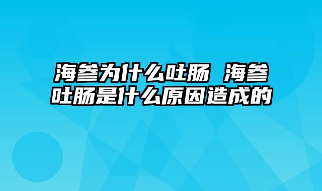 海参为什么吐肠 海参吐肠是什么原因造成的