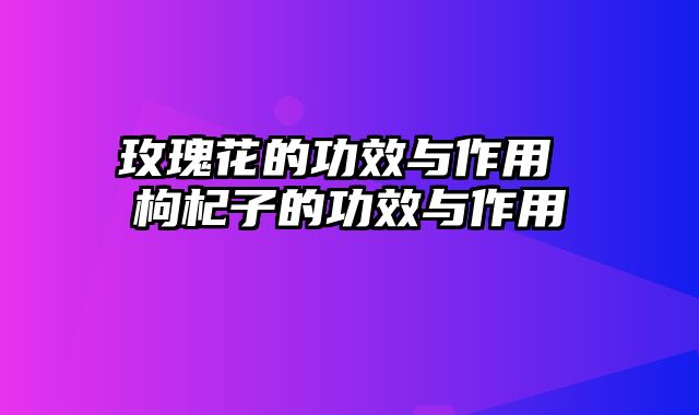 玫瑰花的功效与作用 枸杞子的功效与作用