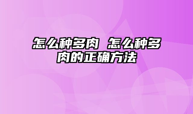 怎么种多肉 怎么种多肉的正确方法