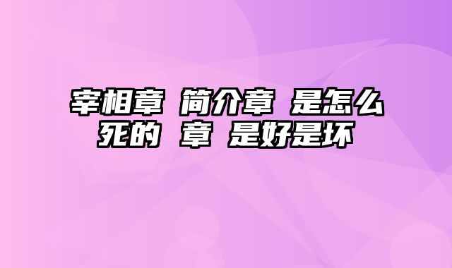 宰相章惇简介章惇是怎么死的 章惇是好是坏