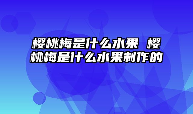 樱桃梅是什么水果 樱桃梅是什么水果制作的