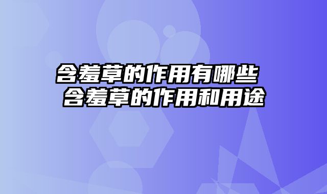 含羞草的作用有哪些 含羞草的作用和用途