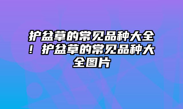 护盆草的常见品种大全! 护盆草的常见品种大全图片