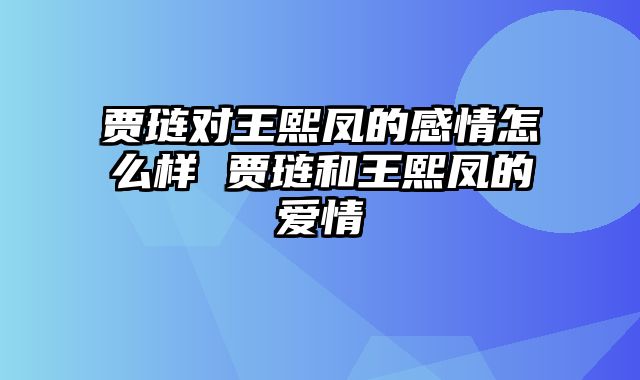 贾琏对王熙凤的感情怎么样 贾琏和王熙凤的爱情