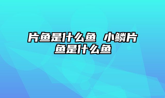 片鱼是什么鱼 小鳞片鱼是什么鱼