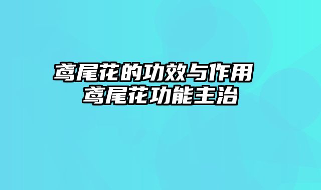 鸢尾花的功效与作用 鸢尾花功能主治