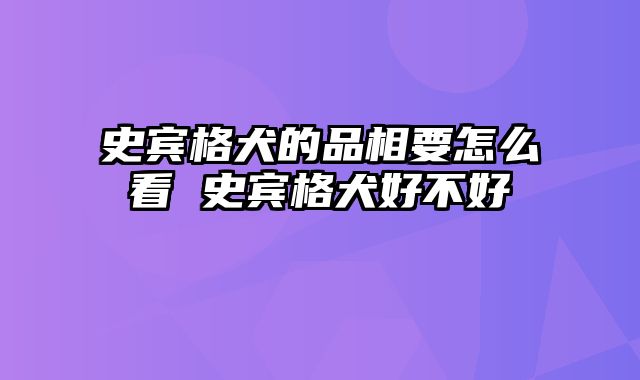 史宾格犬的品相要怎么看 史宾格犬好不好