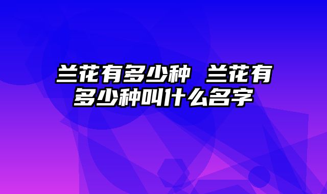 兰花有多少种 兰花有多少种叫什么名字