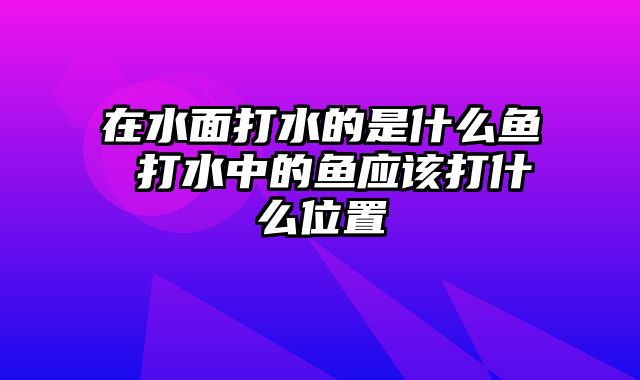 在水面打水的是什么鱼 打水中的鱼应该打什么位置