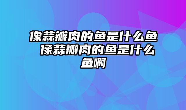 像蒜瓣肉的鱼是什么鱼 像蒜瓣肉的鱼是什么鱼啊