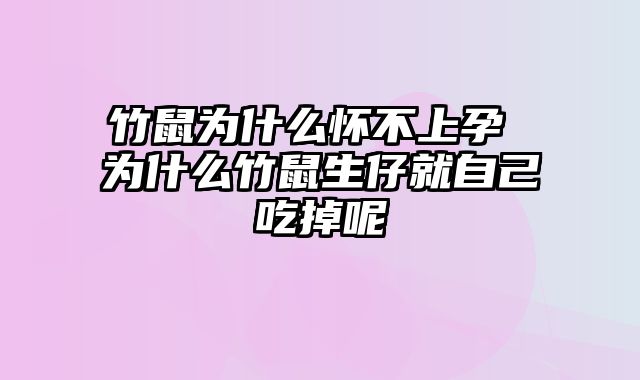 竹鼠为什么怀不上孕 为什么竹鼠生仔就自己吃掉呢