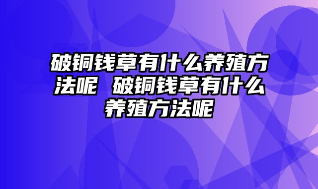 破铜钱草有什么养殖方法呢 破铜钱草有什么养殖方法呢