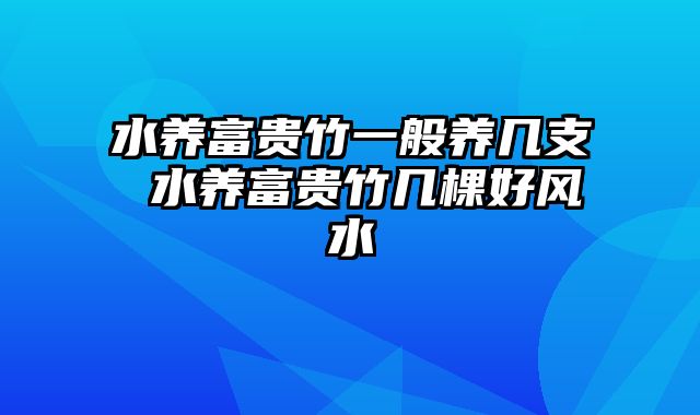 水养富贵竹一般养几支 水养富贵竹几棵好风水