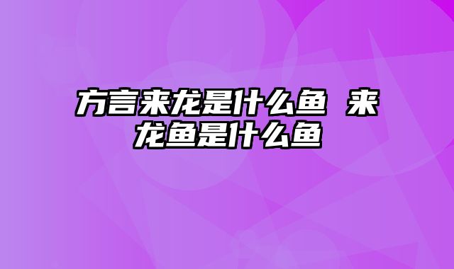 方言来龙是什么鱼 来龙鱼是什么鱼