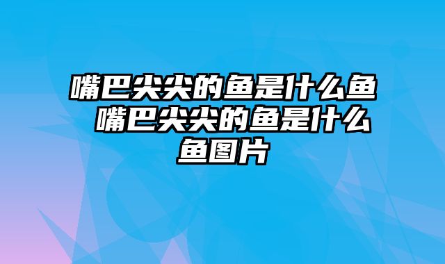 嘴巴尖尖的鱼是什么鱼 嘴巴尖尖的鱼是什么鱼图片