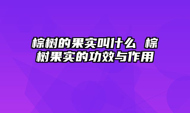 棕树的果实叫什么 棕树果实的功效与作用