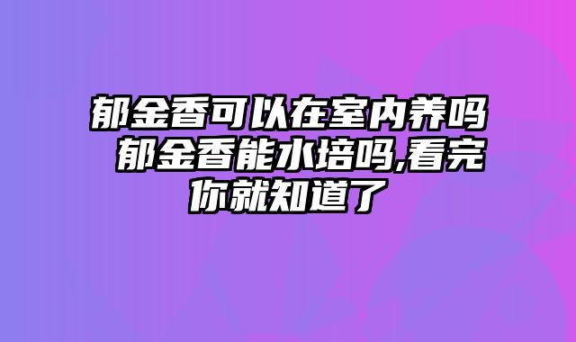 郁金香可以在室内养吗 郁金香能水培吗,看完你就知道了