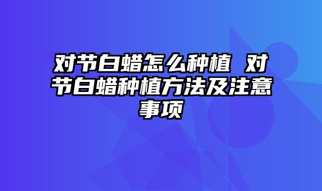 对节白蜡怎么种植 对节白蜡种植方法及注意事项