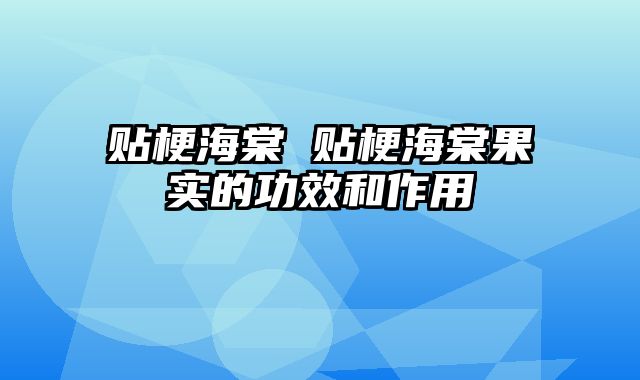 贴梗海棠 贴梗海棠果实的功效和作用