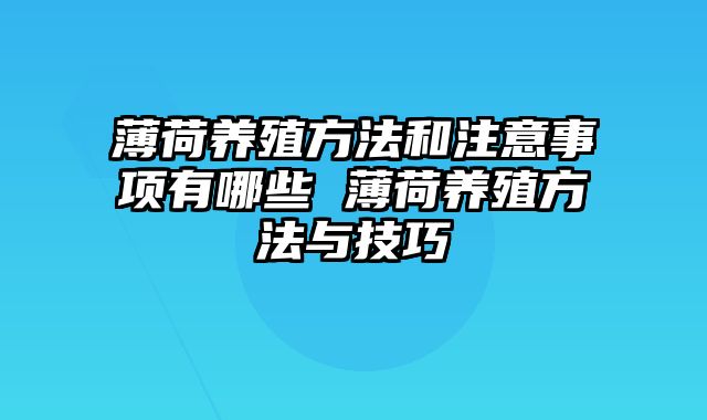 薄荷养殖方法和注意事项有哪些 薄荷养殖方法与技巧