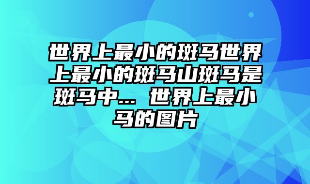 世界上最小的斑马世界上最小的斑马山斑马是斑马中... 世界上最小马的图片