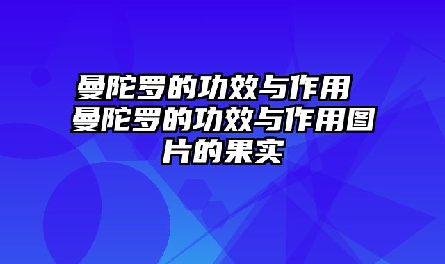 曼陀罗的功效与作用 曼陀罗的功效与作用图片的果实