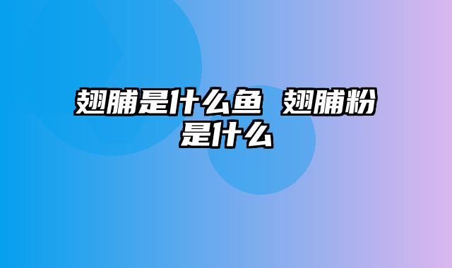 翅脯是什么鱼 翅脯粉是什么