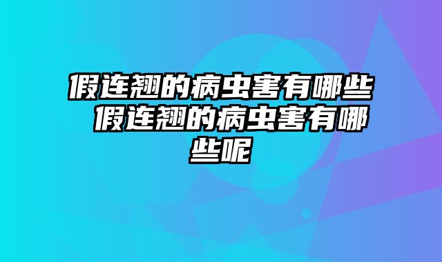 假连翘的病虫害有哪些 假连翘的病虫害有哪些呢