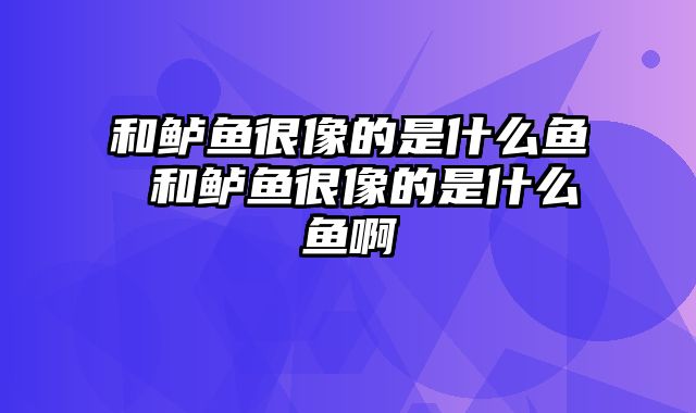 和鲈鱼很像的是什么鱼 和鲈鱼很像的是什么鱼啊